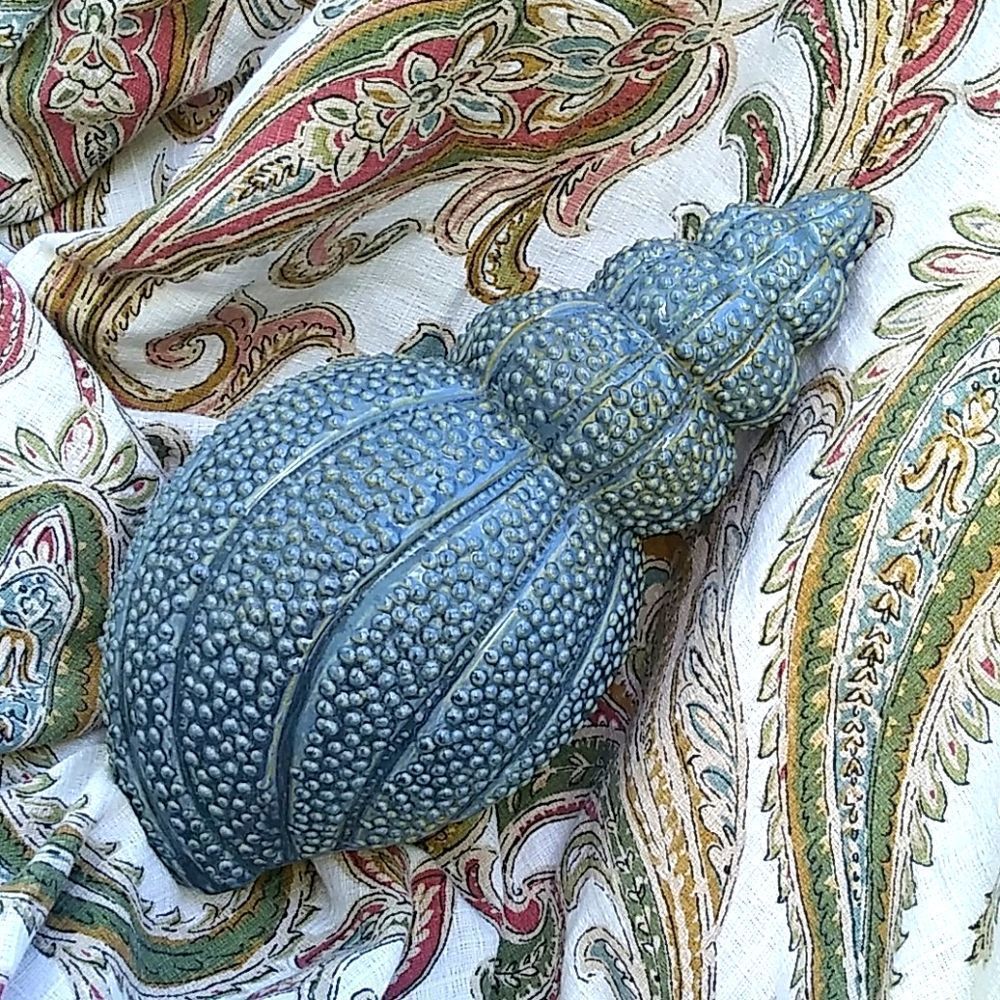 Sea Shell Decor